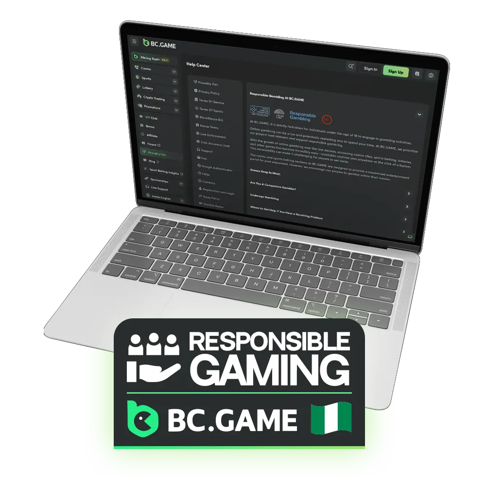 At BC Game, our main objective is to maintain a gaming space that is both safe and responsible for every single user.