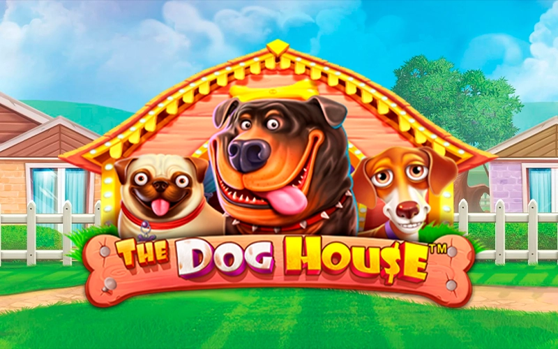 Visit the kennel in The Dog House slot game.