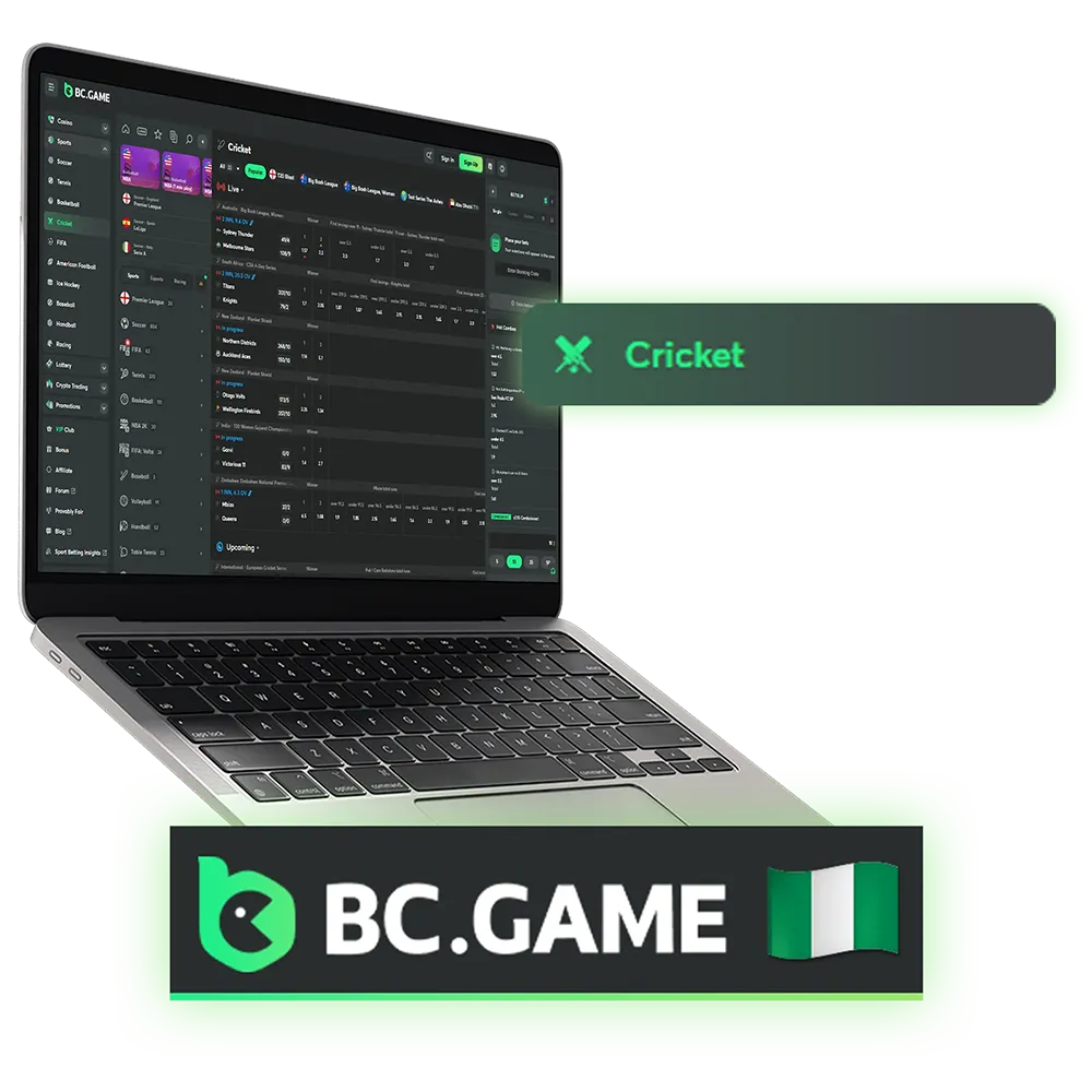 Dive into the world of professional cricket by placing your bets on the BC Game platform.