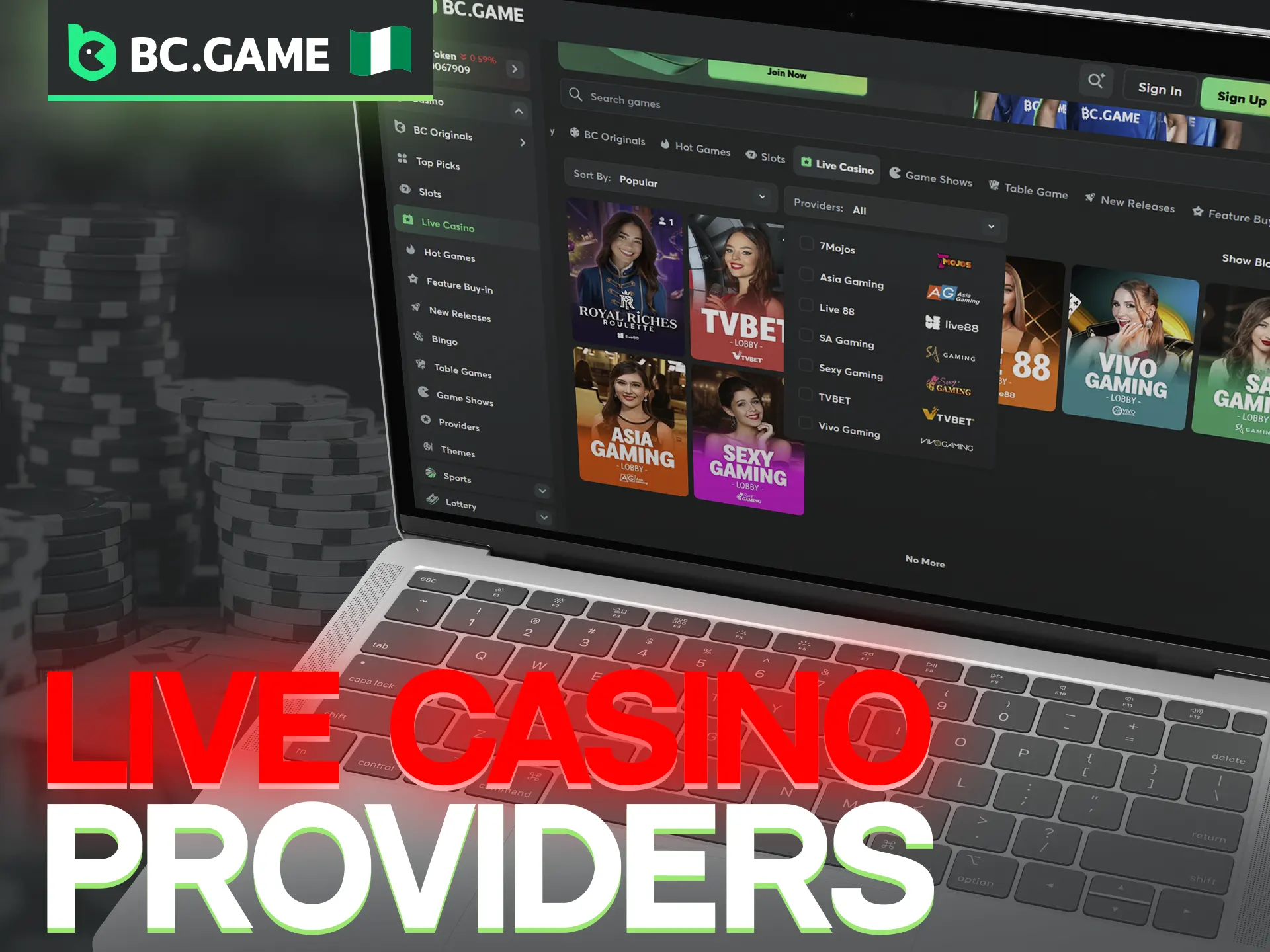 Explore the top-tier providers powering the BC Game experience.