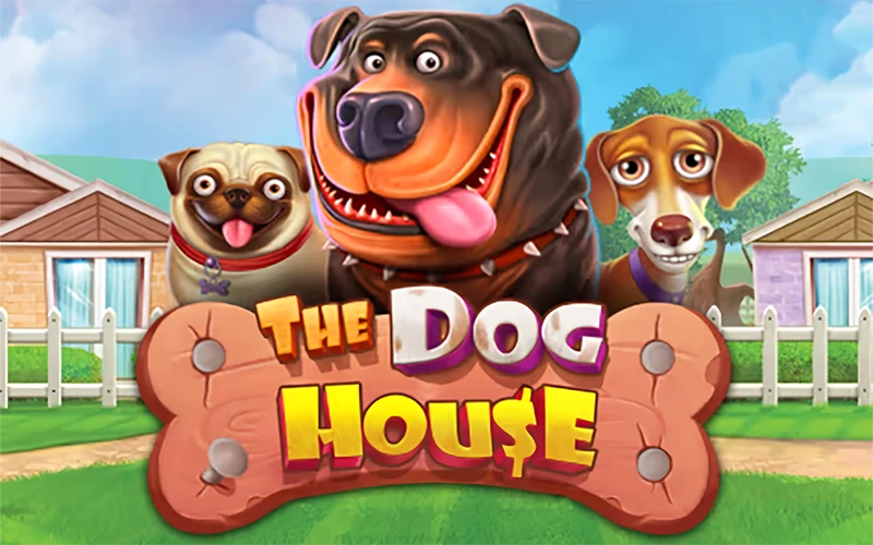 Enjoy the playful atmosphere of The Dog House slot at BC Game.